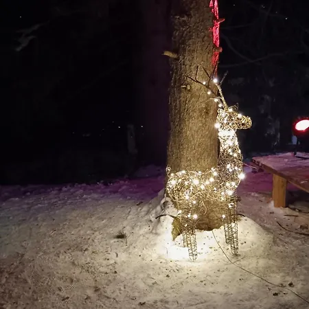 Bellevue * 크란스몬타나