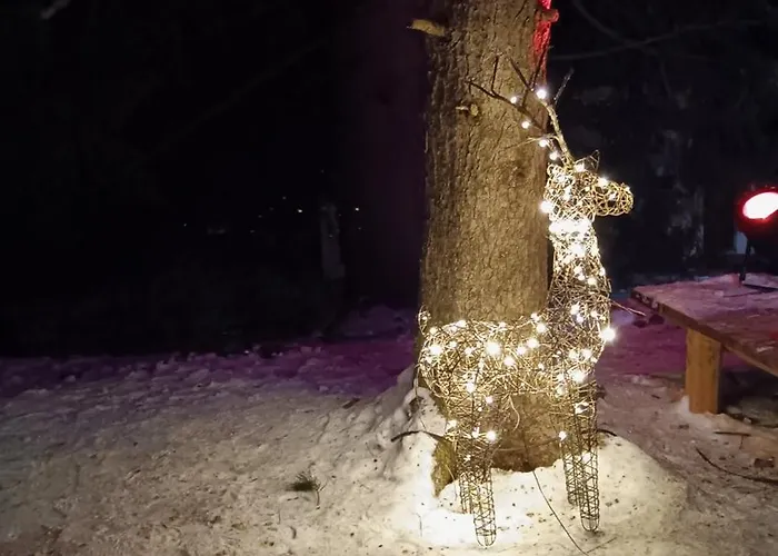 Bellevue * 克莱恩 蒙塔纳