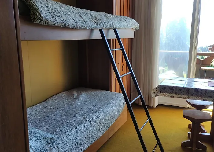 Bellevue 克莱恩 蒙塔纳